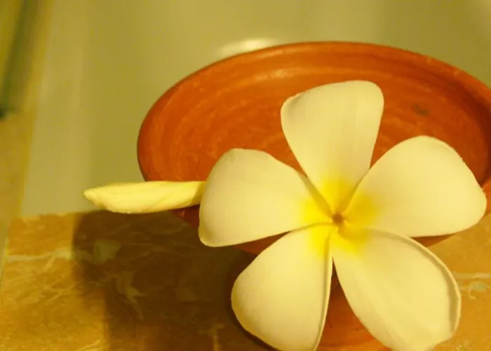 Hotel Paris Angkor Boutique Siem Reap