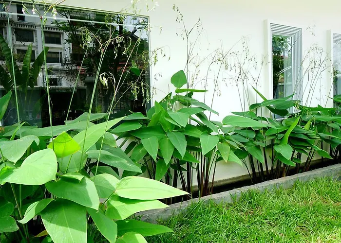 Paris Angkor Boutique Hotel